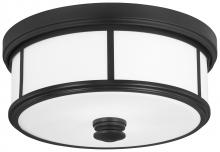 Minka 4365-66A - Harbour Point - 2 Light Flush Mount