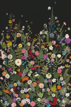 Art by Cartwright 52GCBA1495 - Night Scent I