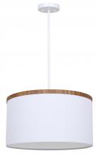 True Light Co. D624WH-18WW - Copeland Pendant