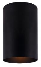 True Light Co. IFM1071A04BK - Hudson Flush Mount