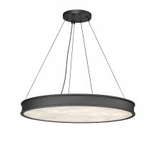 True Light Co. TRP295L37TBK - Bernhardt Pendant