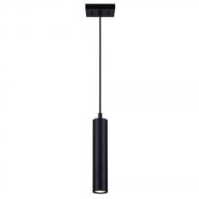 True Light Co. IPL764A01BK10 - Perry Pendant