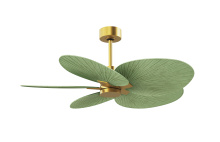 Matthews Fan Company AKTP-BRBR-PL - Alessandra Tropical - Five Blade Ceiling Fan - Brushed Brass Finish - Palm Leaf Blades