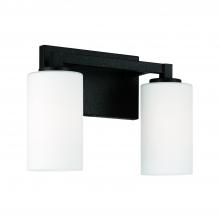 Capital 119821BI-545 - 2 Light Vanity