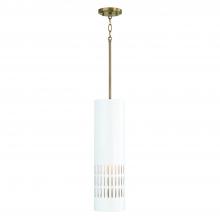 Capital 350211AW - 1 Light Pendant