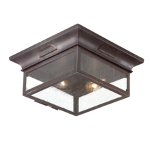 Troy C9000-SFB - Newton Exterior Flush Mount