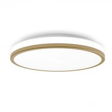 Lighting by Cartwright A17089 - Flush Mount