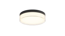 Lighting by Cartwright C10022PC12BK - Flush Mount