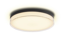 Lighting by Cartwright C10022PC16BK - Flush Mount