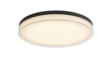 Lighting by Cartwright C10022PC20BK - Flush Mount