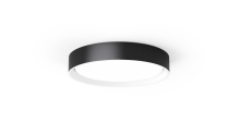Lighting by Cartwright C10061PC07BW - Flush Mount