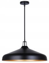Canarm IPL1203A04BKG22 - Holland 4 Light Pendant