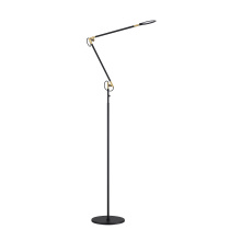 Kendal FL8701-BLK/BRS - LED FLOOR LAMP