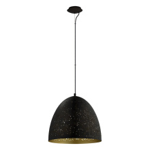 Eglo 202081A - 1L Pendant Light / Luminaire suspendu 1L