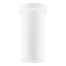 Eglo 204899A - 1L Flush Mount / Plafonnier 1L