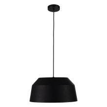 Eglo 206249A - 1L Pendant Light / Luminaire suspendu 1L