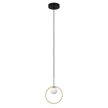 Eglo 206857A - 1L LED Pendant Light / Luminaire suspendu DEL 1L