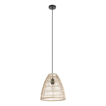 Eglo 43866A - 1L Pendant Light / Luminaire suspendu 1L
