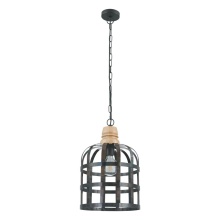 Eglo 49785A - 1L Pendant Light / Luminaire suspendu 1L