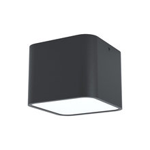 Eglo 99283A - 1L Flush Mount / Plafonnier 1L