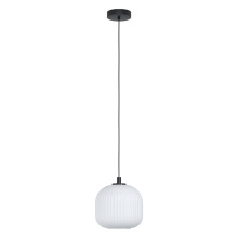 Eglo 99366A - 1L Pendant Light / Luminaire suspendu 1L